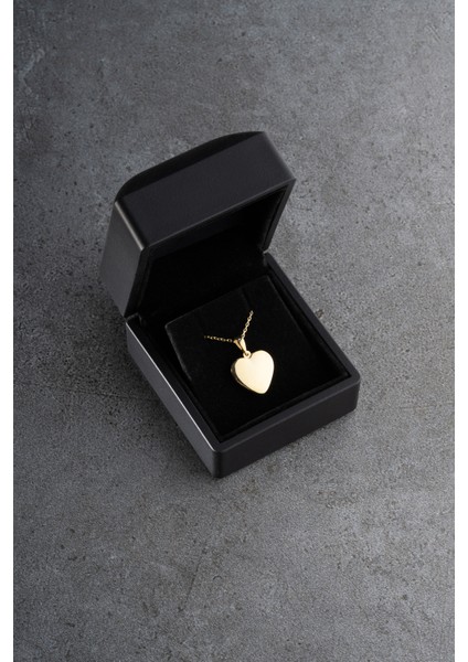 925 Ayar Gümüş Işıklı Kutuda Resimlik Kolye