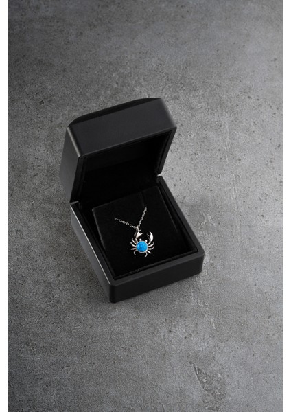 925 Ayar Gümüş Işıklı Kutuda Yengeç Kolye