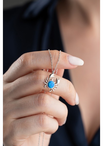 925 Ayar Gümüş Işıklı Kutuda Yengeç Kolye fırsatları