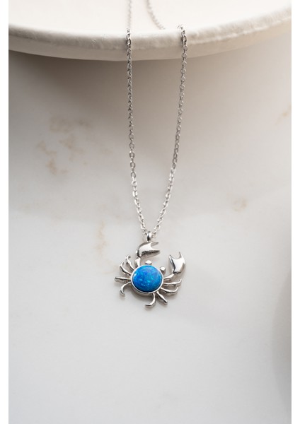 925 Ayar Gümüş Işıklı Kutuda Yengeç Kolye