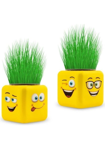 Çimoji 4 Figürlü Emoji Küp Çim Adam fiyatları
