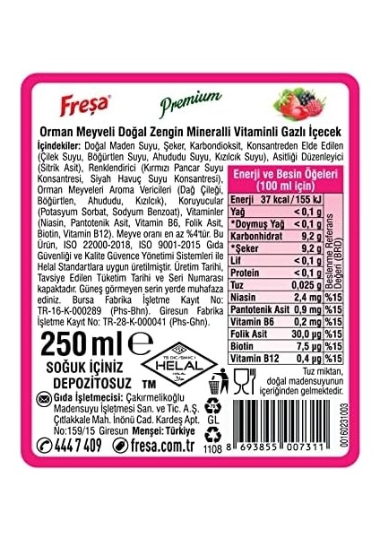 Freşa Premium Orman Meyve, (24 x 250 Ml) fiyatları