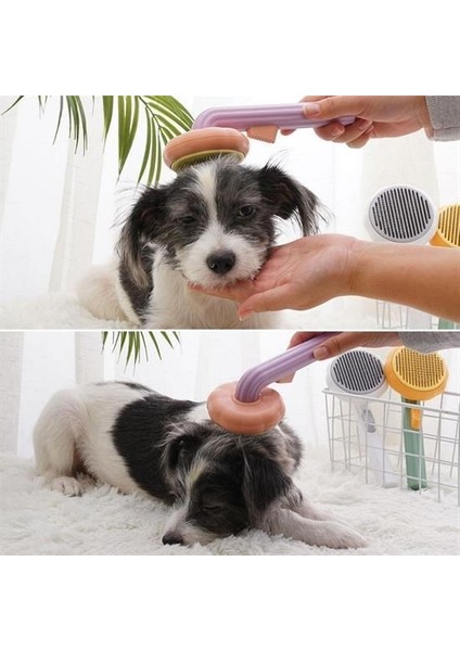 Buffer Plastik Yeşil Evcil Hayvan Bakım Pet Fırçası Çok Amaçlı Pet Fırçası Yeşil fiyatları