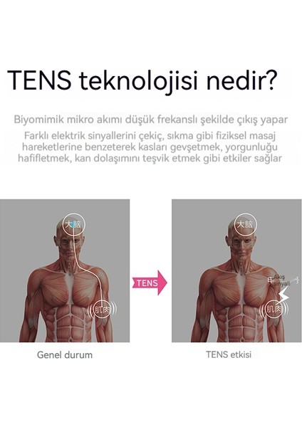 Servikal Masaj Akıllı Kablosuz Şarj Taşınabilir Kas Rahatlatıcı Masaj Cihazı (Yurt Dışından) fırsatları