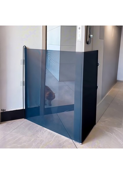 Evcil Hayvan Anti-Run Out Otomatik Geri Çekilebilir Evcil (Yurt Dışından) fiyatları