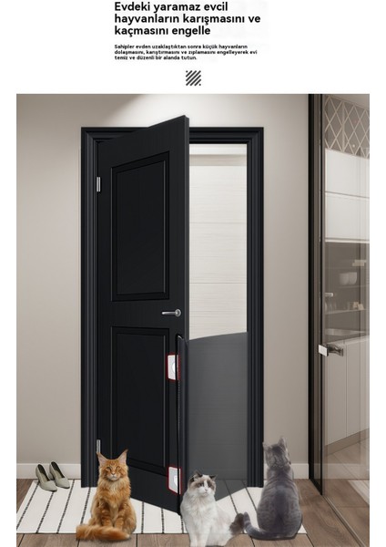 Evcil Hayvan Anti-Run Out Otomatik Geri Çekilebilir Evcil (Yurt Dışından) modelleri
