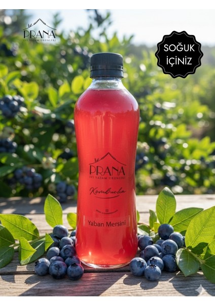 Kombucha Yaban Mersini - 6*330ml - Fermente Probiyotik İçecek