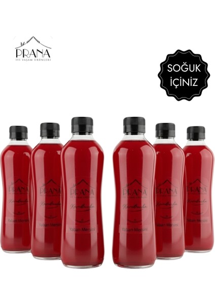 Kombucha Yaban Mersini - 6*330ml - Fermente Probiyotik İçecek fiyatları