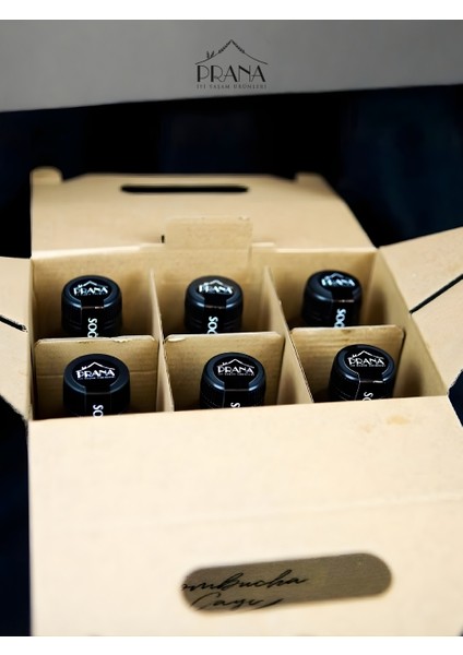 Kombucha Yaban Mersini - 6*330ml - Fermente Probiyotik İçecek modelleri