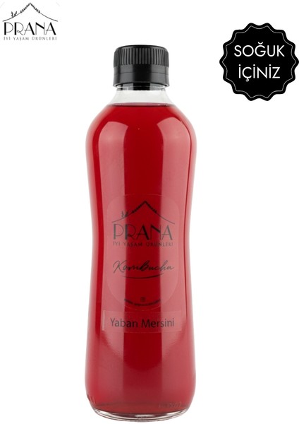 Kombucha Yaban Mersini - 6*330ml - Fermente Probiyotik İçecek fırsatları