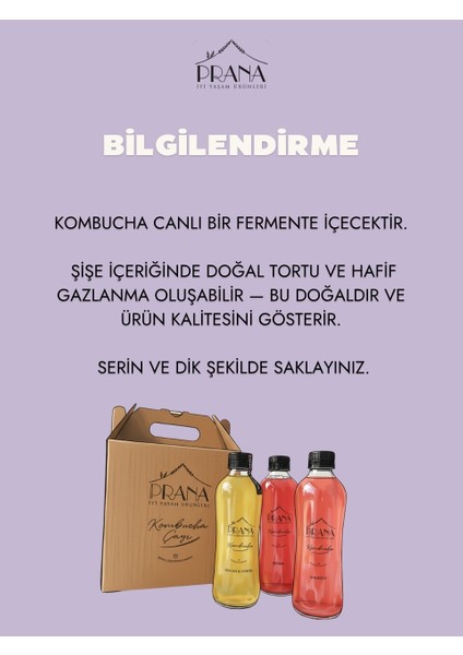 Kombucha Yaban Mersini - 6*330ml - Fermente Probiyotik İçecek indirimleri