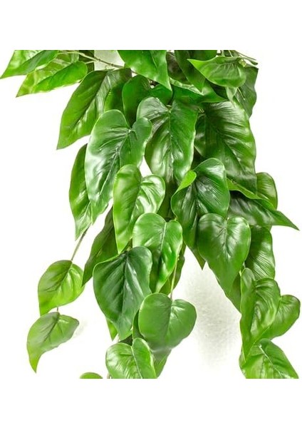 Yapay Bitki Asılabilir Sarmaşık Anthurium-Antoryum Gerçek Dokulu Yeşil 70 Cm. fiyatları