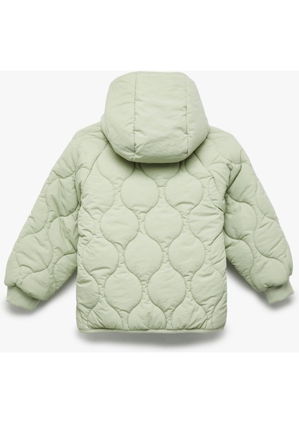 Uzun Kollu Düğmeli Kapşonlu Kapitone Mont fiyatları