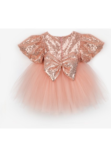 Rose Fiyonk Detaylı Pullu Kız Bebek Elbise - Amber fiyatları