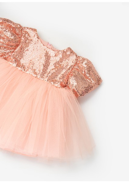 Rose Fiyonk Detaylı Pullu Kız Bebek Elbise - Amber modelleri