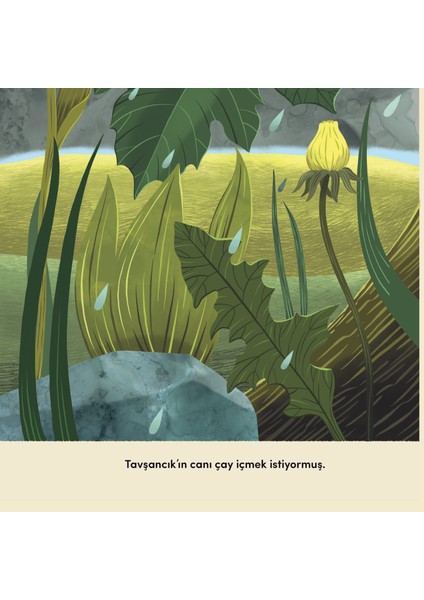 Tavşancık ve Çay Keyfi modelleri