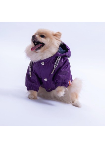 Mor Pluvia V25 Köpek Mont Köpek Yağmurluk Köpek Kıyafeti Köpek Elbisesi