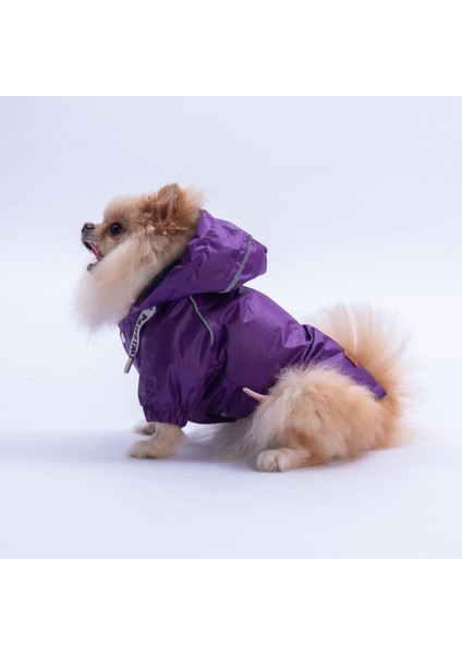 Mor Pluvia V25 Köpek Mont Köpek Yağmurluk Köpek Kıyafeti Köpek Elbisesi modelleri