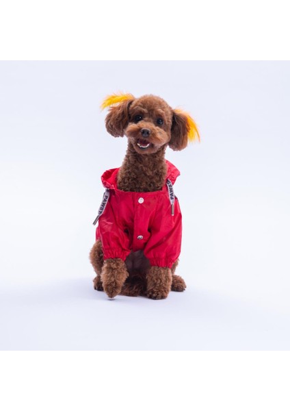 Kırmızı Pluvia V25 Köpek Mont Köpek Yağmurluk Köpek Kıyafeti Köpek Elbisesi