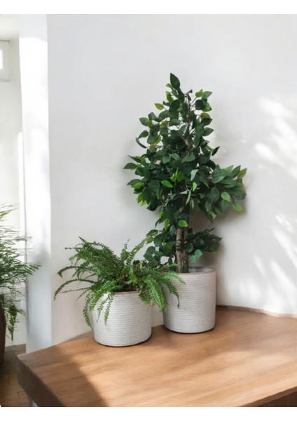 2 Adet Dekoratif Düzenleyici Sepet Saksılık fiyatları