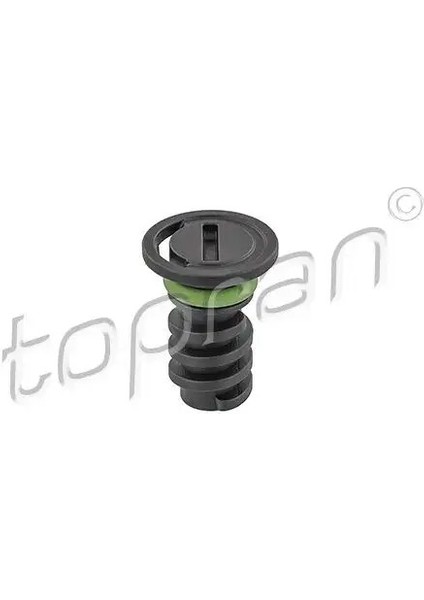 409882001 Karter Tapasi A0029902017