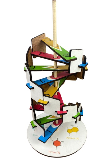 Dna Modeli – Kendin Yap Stem Bilim ve Deney Seti