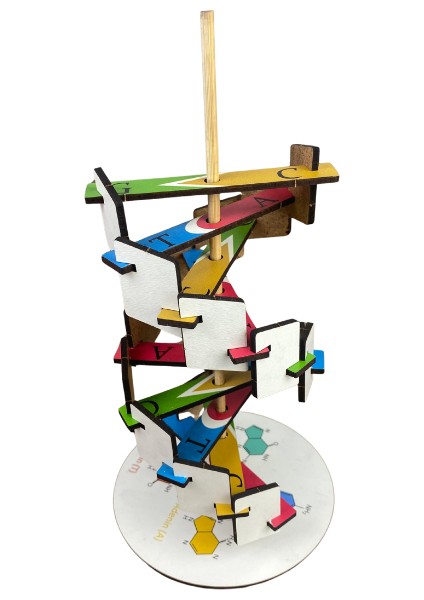 Dna Modeli – Kendin Yap Stem Bilim ve Deney Seti fiyatları