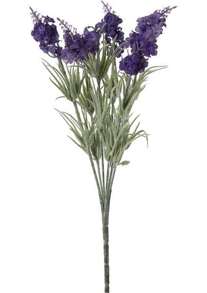 Concept Lavanta Demeti 33CM