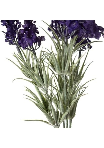 Concept Lavanta Demeti 33CM fiyatları