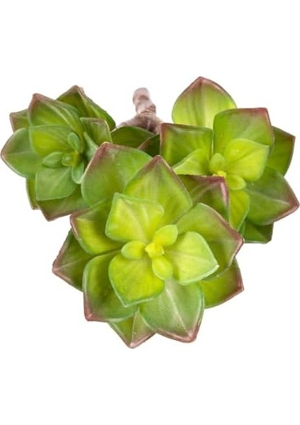 Yapay Kaktüs Sukulent Kırmızı-Yeşil 35 Cm. fiyatları