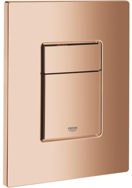 Skate Cosmopolitan - Duvar Plakası Gün Batımı