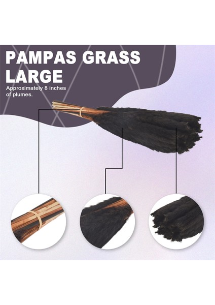 30PCS Siyah Pampas Çim, 17 Inç Doğal Kuru Kabarık Küçük Saplar Ev Düğün Dekoru Çiçek Aranjmanları, Dekor (Yurt Dışından) fırsatları