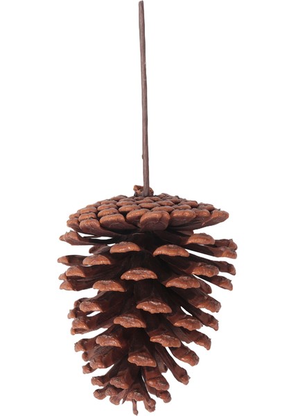 12PCS Natural Pine Cone Seçim Noel Pinecone Spreys Orta Pinekonlar Kablolu Saplamalarla Seçimler 8,3 Inç Xmas, A (Yurt Dışından)