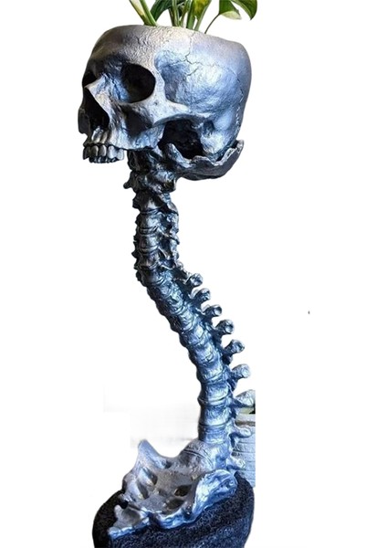 Reçine Kafatası Ekici ve Omurga Standı Seti, Polyresin Kafatası Pot, Cadılar Bayramı Dekorasyonu Retro Insan Kafatası Kafa Çiçeği, Gümüş (Yurt Dışından)