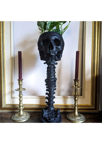 Reçine Kafatası Ekici ve Omurga Standı Seti, Polyresin Kafatası Pot, Cadılar Bayramı Dekorasyonu Retro Insan Kafatası Kafa Çiçeği, Gümüş (Yurt Dışından) fiyatları