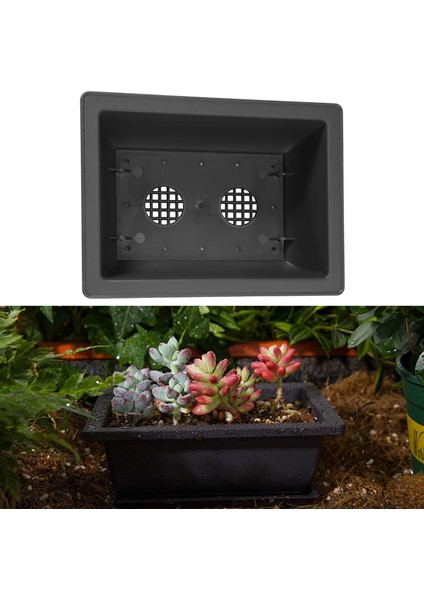 6 Paket Bonsai Eğitim Tencereleri Tepsiyle Plastik Bonsai Bitkileri Bahçe Yard Salon Oturma Odası Için Tencereye Büyüyen 22.5X16.5CM (Yurt Dışından) modelleri