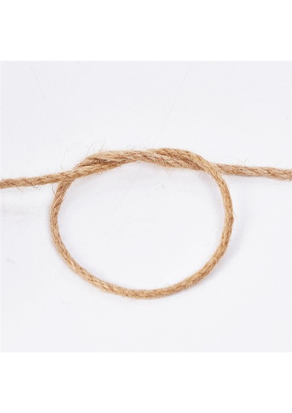 2 Rulo Doğal Sicim 3 Kat Filament Sicim Malzemesi Hediye Sarma Botanik Noel El Yapımı Sanat Dekorasyonu (Yurt Dışından) fırsatları