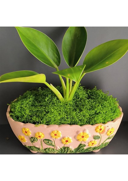 Simüle Yeşil Çim Bahçecilik Bonsai Dekorasyon Düğün Düğün Dekorasyonu Paskalya Yemek Masası (Yurt Dışından) modelleri