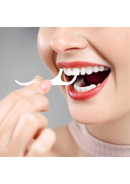 Dental Floss Dispenser 2 KUTU-176 Sayı Süper Finli Kür Kıkavukları Sticks-More Hijyenik Floss Depolama (Yurt Dışından) modelleri