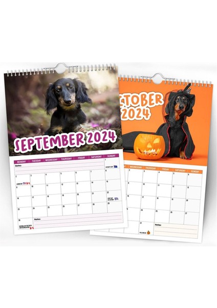 Kağıt 2024 Arsız Dachshunds Takvim Yeni Yıl Hediyeleri Hediye Duvar Takvim Duvar Dekasyonu Zaman Planlama Asma Takvim Duvarı (Yurt Dışından) fiyatları