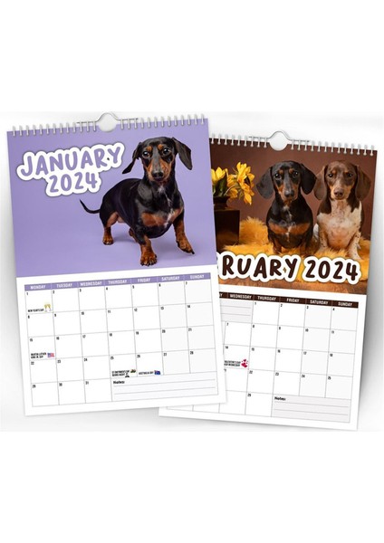Kağıt 2024 Arsız Dachshunds Takvim Yeni Yıl Hediyeleri Hediye Duvar Takvim Duvar Dekasyonu Zaman Planlama Asma Takvim Duvarı (Yurt Dışından) modelleri