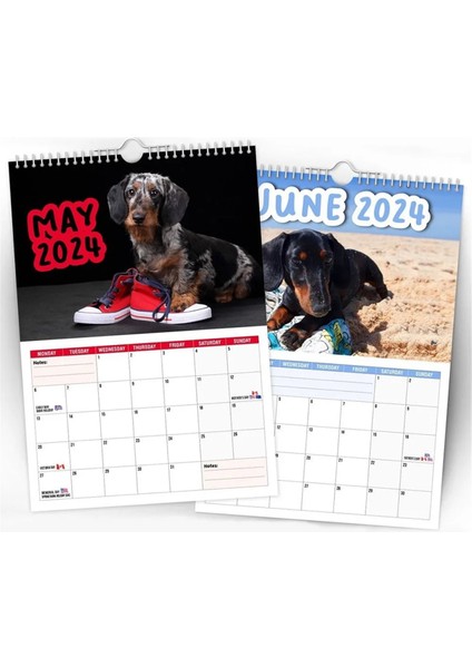 Kağıt 2024 Arsız Dachshunds Takvim Yeni Yıl Hediyeleri Hediye Duvar Takvim Duvar Dekasyonu Zaman Planlama Asma Takvim Duvarı (Yurt Dışından) fırsatları
