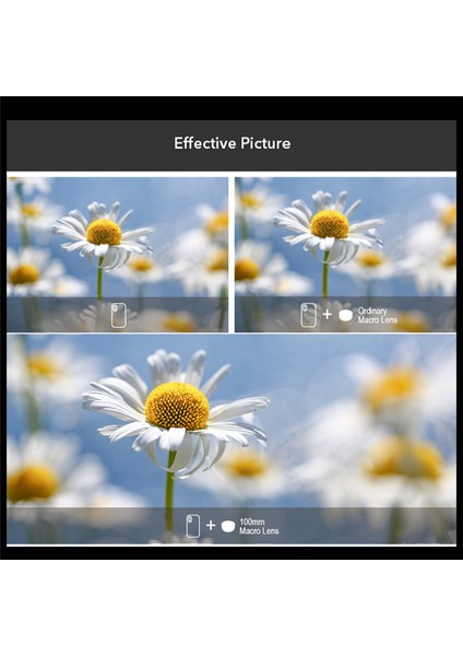 Apexel 4K Hd 100MM Makro Lens Cpl Filtreli Iphone/samsung/tüm Akıllı Telefonlar Için Evrensel Kelepçe Mikro Lensleri (Yurt Dışından) indirimleri