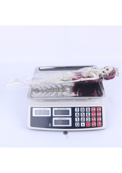 Deniz Kızı Iskeleti Deniz Altında Uzun Saçlı Cadılar Bayramı Partisi, Asma Cadılar Bayramı Dekorasyonları Cadılar Bayramı Açık C (Yurt Dışından) indirimleri