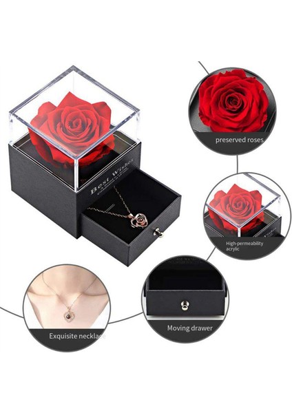 Korunmuş Kırmızı Güller ile Seni Seviyorum 100 Dillerde Kadın Karısı Için Doğum Günü Hediyeleri, Pembe Için Gül Çiçek Hediyeleri (Yurt Dışından) fırsatları