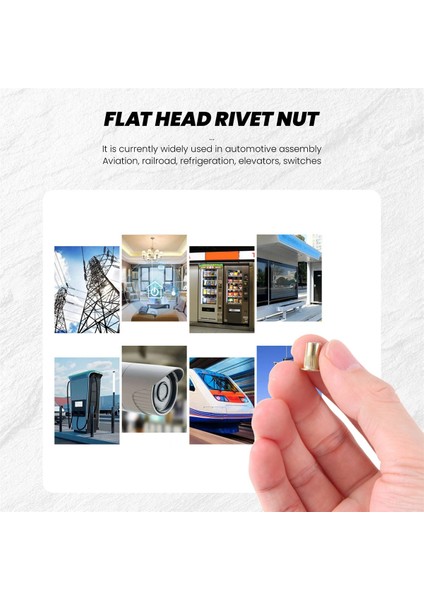 50 Pcs M10/M12/M8/M5/M6/M4/M4 Düz Kafa Perçin Somun Mobilya Dekorasyon Aleti (M4) (Yurt Dışından) indirimleri