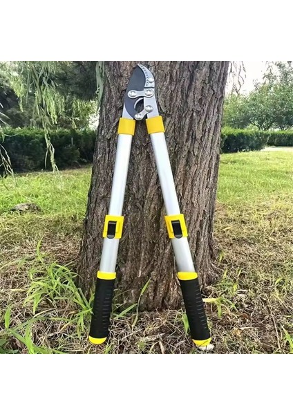 Bahçe Meyve Ağacı Budama Makası Uzun Budayıcı Dal Esnek (Yurt Dışından) indirimleri