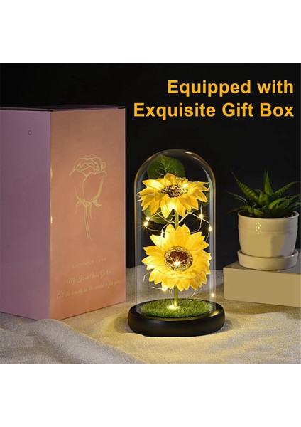 Kadınlar Için Ayçiçeği Hediyeleri, LED Şeritli Cam Kubbede Yapay Ayçiçeği, Doğum Günü, Anneler Günü, Sevgililer Günü Hediyesi (Yurt Dışından) fırsatları