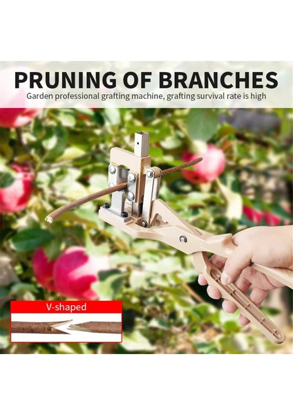 Meyve Ağaçları, Bahçe, Üzüm Asması Aşılama Aletleri Kesici (Yurt Dışından) fiyatları