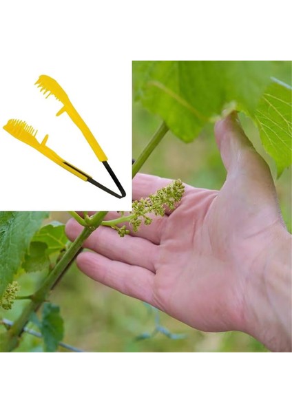 Çiftlik Bahçe Bitkileri El Budayıcısı Için Üzüm Budama Klipsi Inceltme Aleti (Yurt Dışından) fiyatları